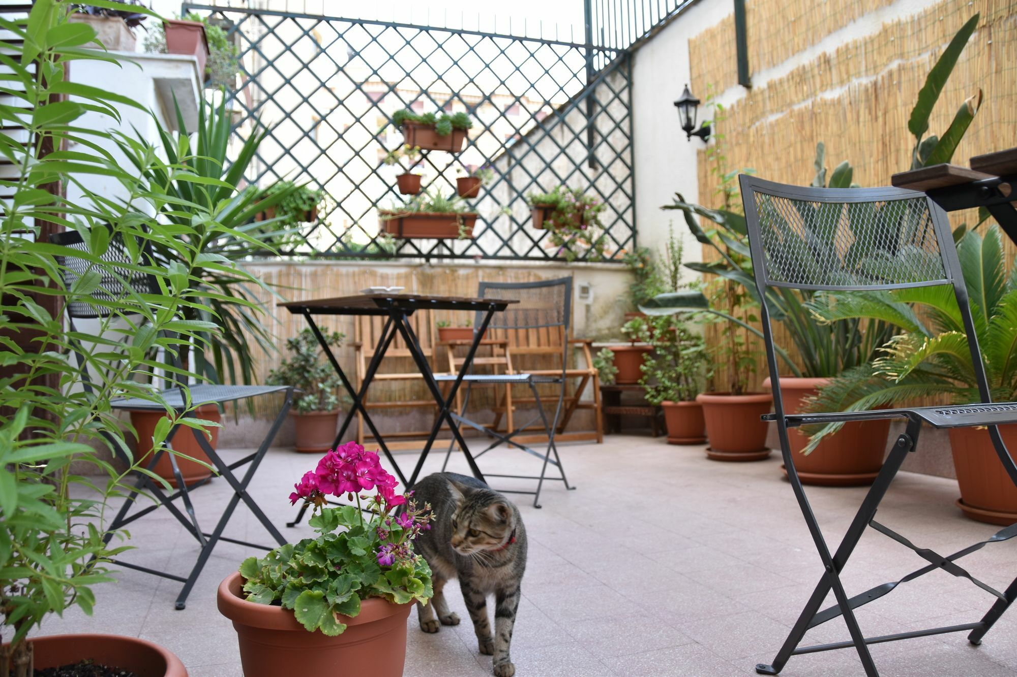 Il Lapino Hotel Palermo Kültér fotó