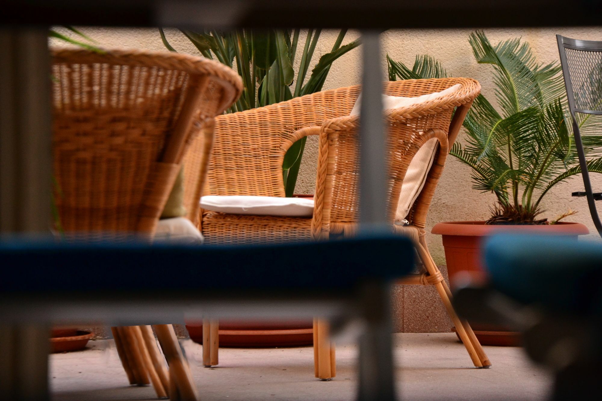 Il Lapino Hotel Palermo Kültér fotó